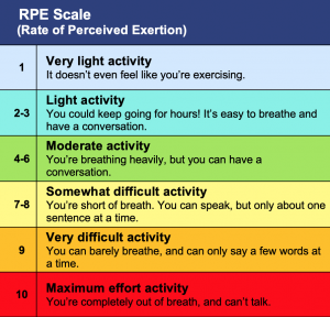 The BORG Scale for Rating Perceived Exertion (RPE) which displays levels of exertion from none to maximum.