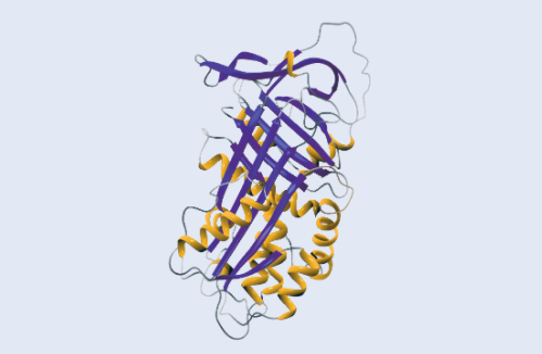 FAQ  Alpha Genetics